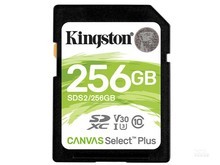 共青城市金士顿SDS2/256GB