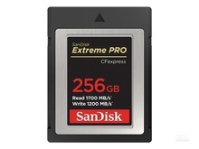 闪迪Extreme Pro（256GB）