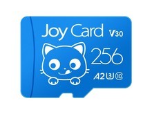 双辽市BanQ JOY Card蓝卡 256GB