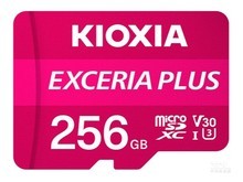 冷水江市铠侠EXCERIA PLUS 极至光速系列（256GB）